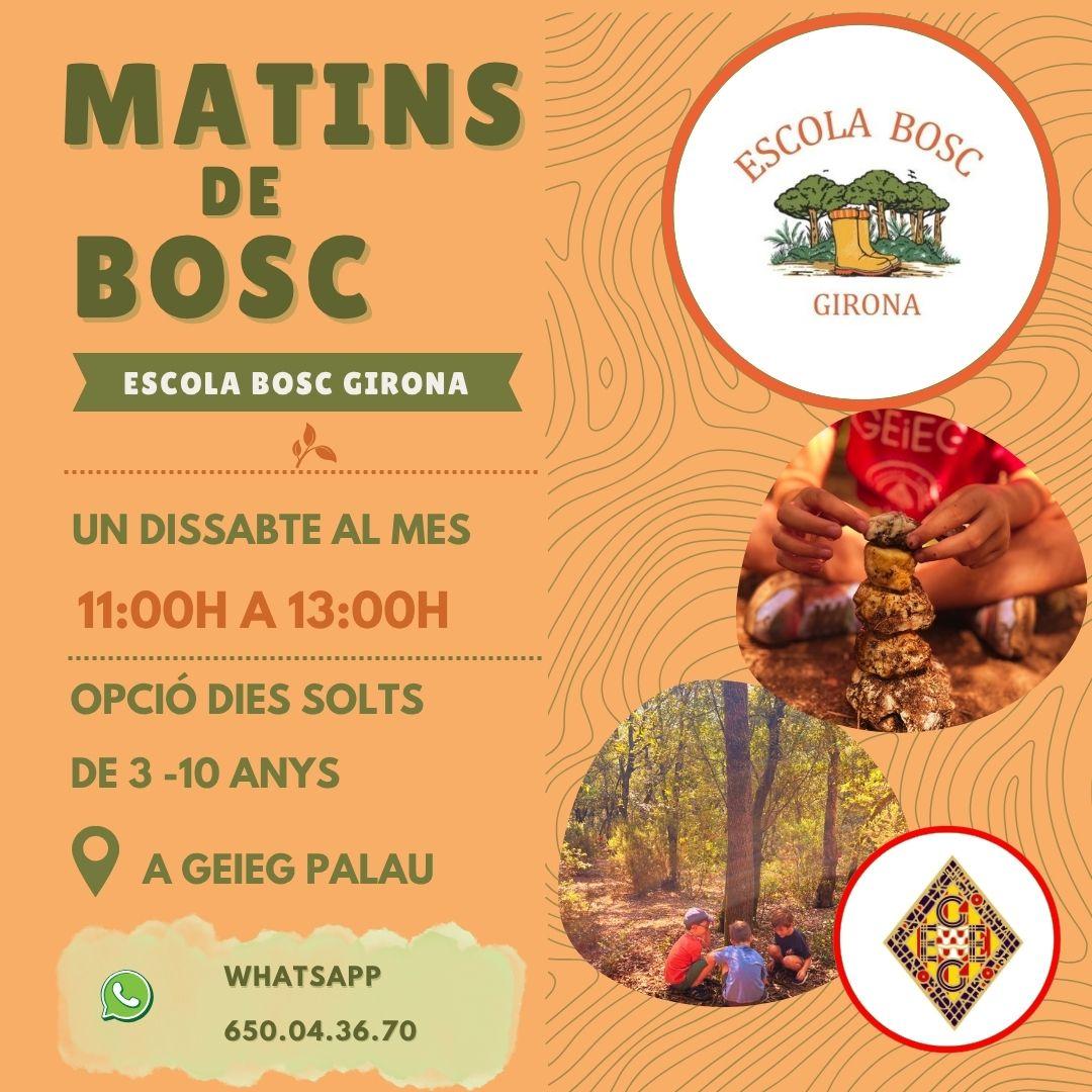 Imatge 1 de Matins al Bosc